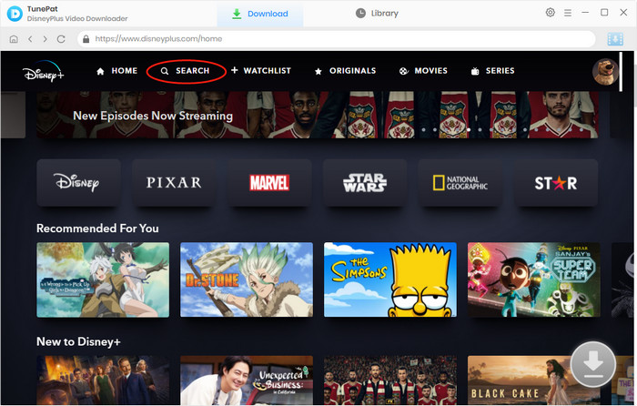 Search for Disney+ videos