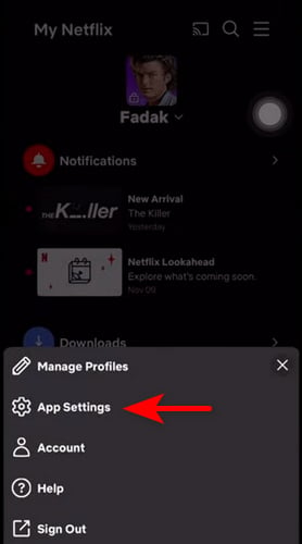 change netflix app settings
