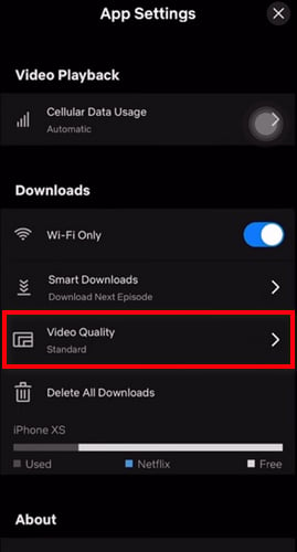 change netflix video quality for download