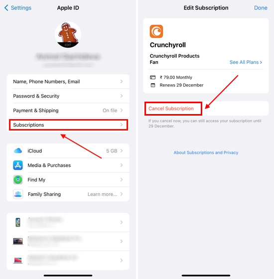 cancel subscription on iphone