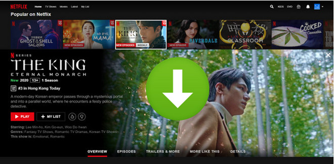download netflix video from web player