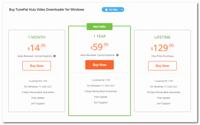 hulu video downloader price